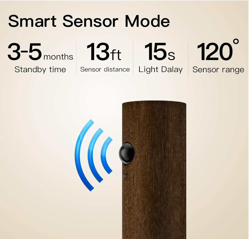 Motion Sensor Woody Light